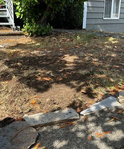 Landscaping Maintenance in Snohomish County 